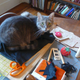 Image for article titled How To Make An Envelope Clutch